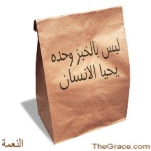 download the holy bible in Arabic for free 