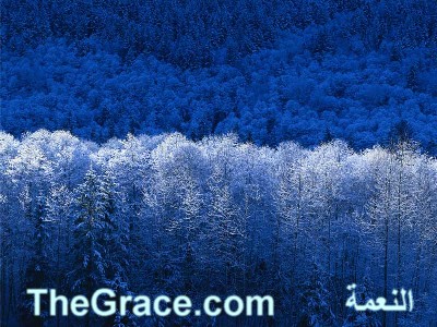 TheGrace Arabic Christian Website